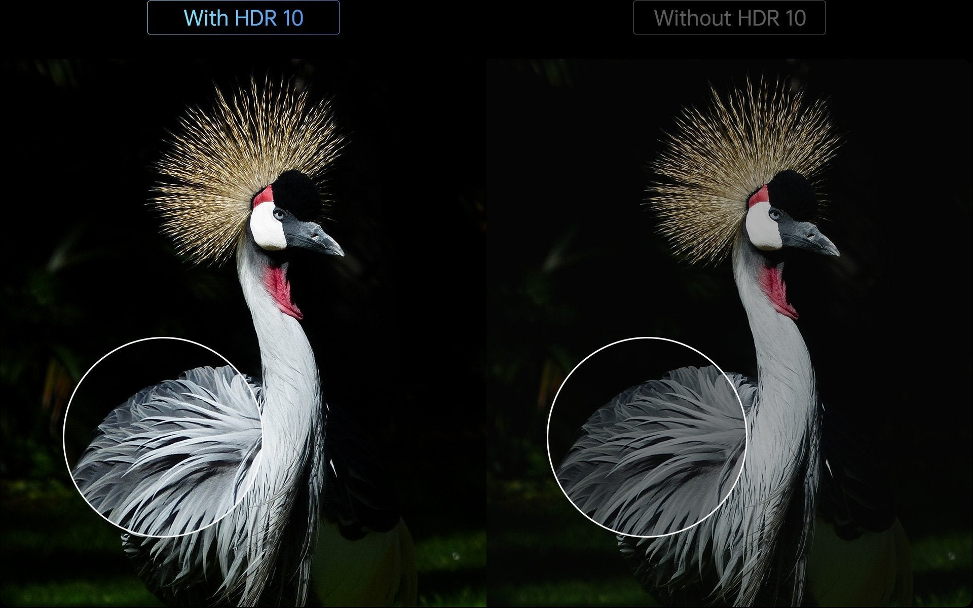 Performance of HDR
